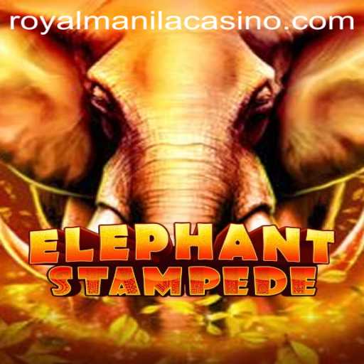 Discover the Thrill of ElephantStampede