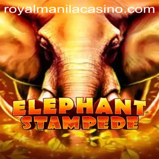 Discover the Thrill of ElephantStampede